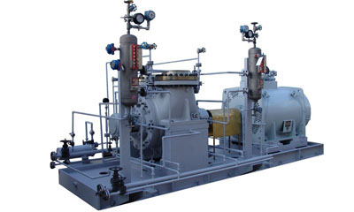 Double-suction petrochemical pumps